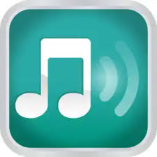 Logitech Media Station